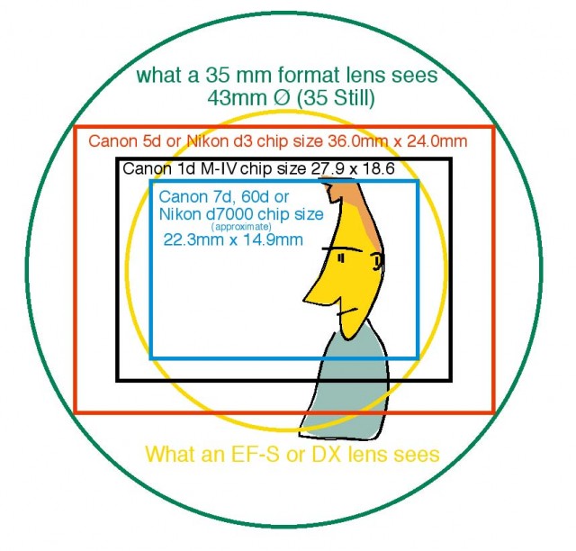 IMAGE: http://www.filmanddigitaltimes.com/wp-content/uploads//2011/05/Lens-vs-chip-Christofori-640x612.jpg
