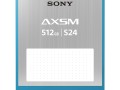 SonyAXSMmemorycard