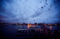 NYTimes Photo by Byron Smith