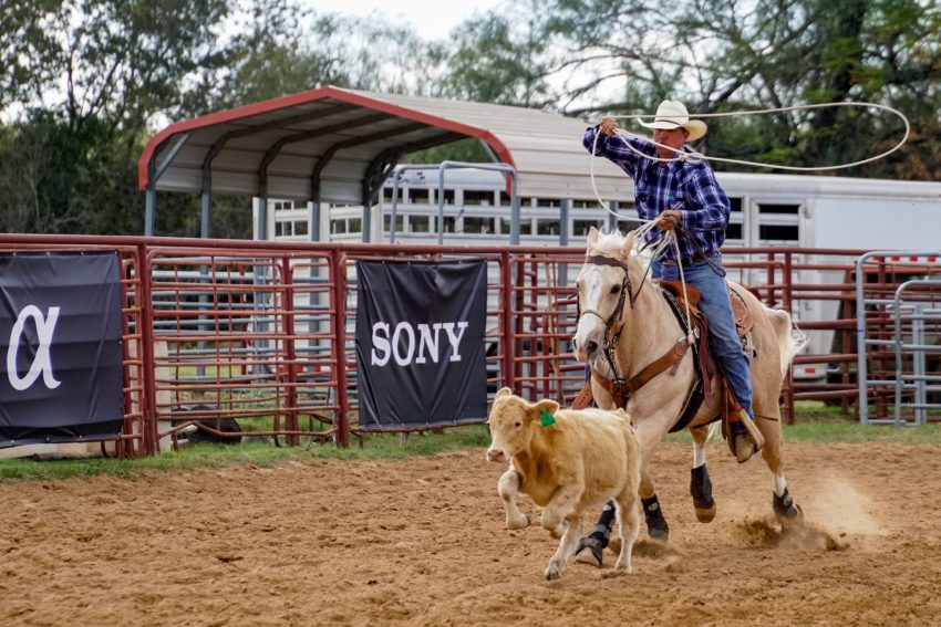 Calf Roping at Windsong Farm Texas with the Sony Alpha 6500_dsc1540-2