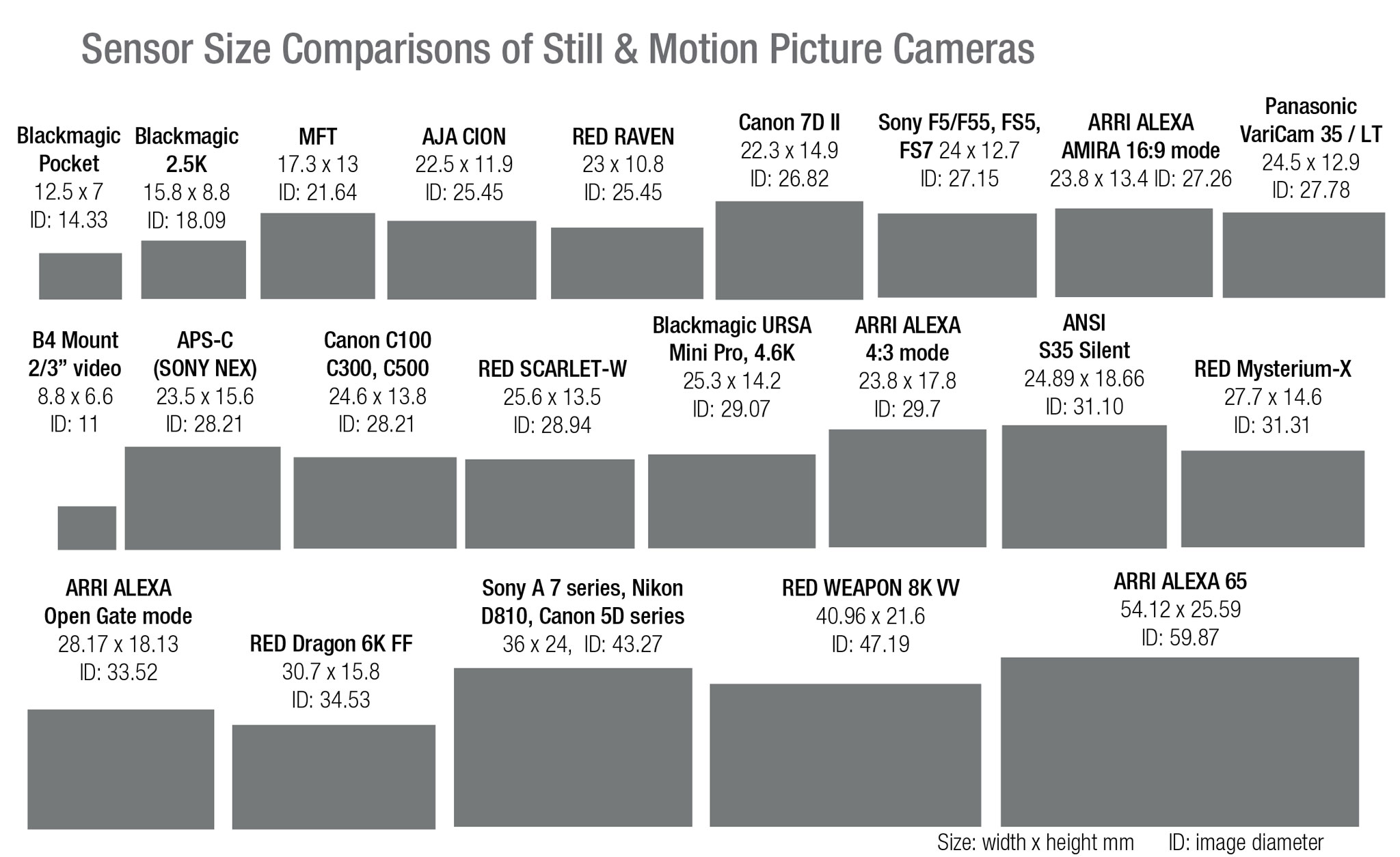 Video Sensor Size Chart